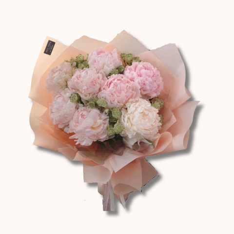 Peony Paradise Peony Paradise