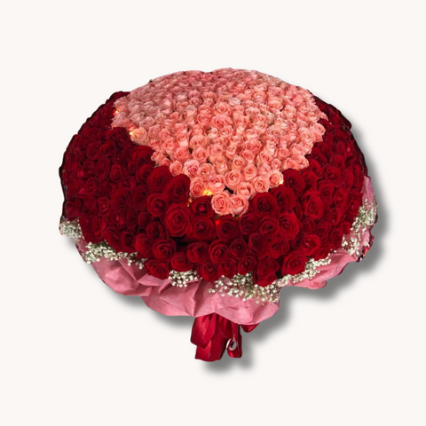 Radiant Rosey Pink Red 520 Radiant Rosey Pink Red 520