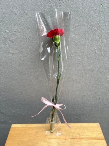 Single Stalk Carnation (with transparent wrap) Single Stalk Carnation (with transparent wrap)