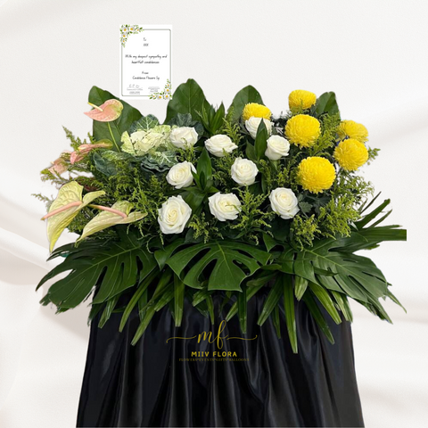 Sympathy Savoy Sympathy Savoy