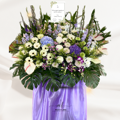 Luxury Montaigne Luxury Montaigne