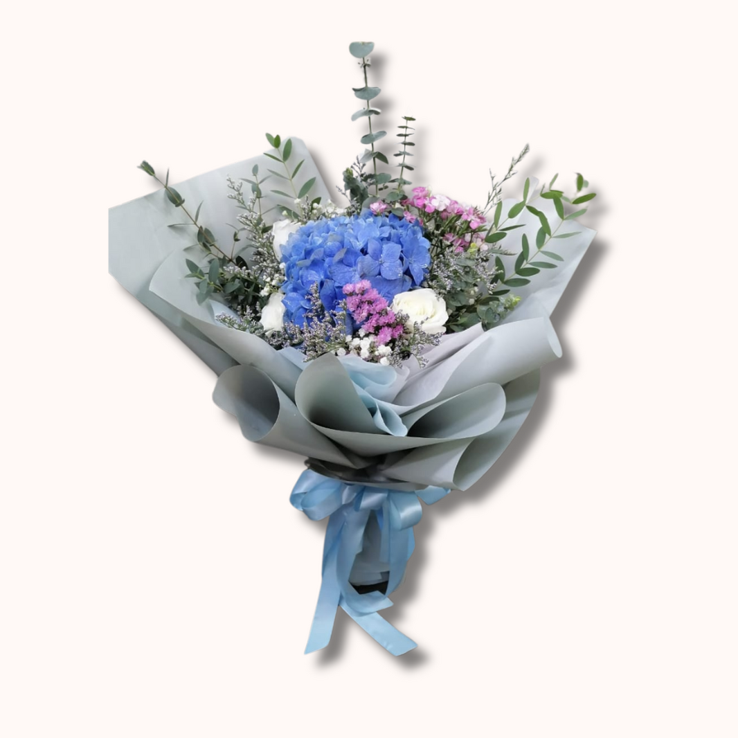 Hydrangea – Miiv Flora