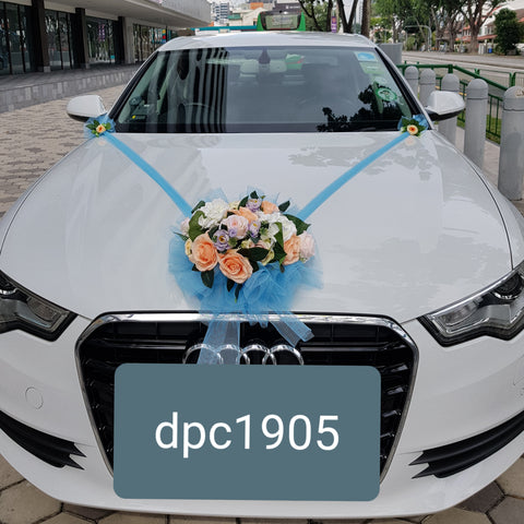 DPC 1905