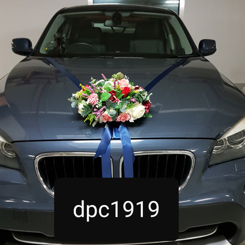 DPC1919