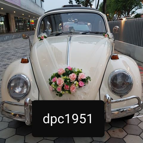 DPC 1951