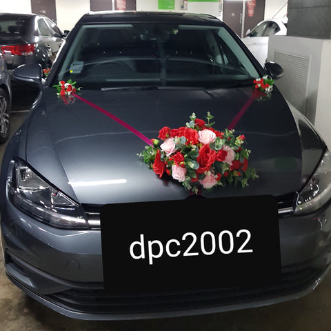 DPC 2002