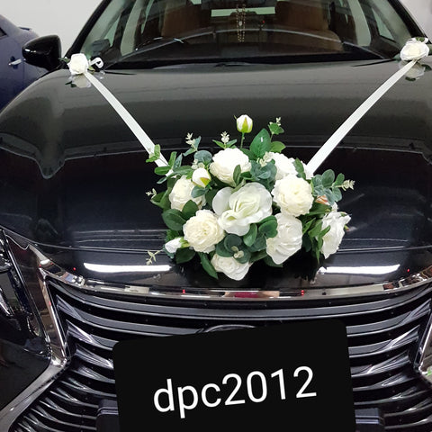 DPC 2012