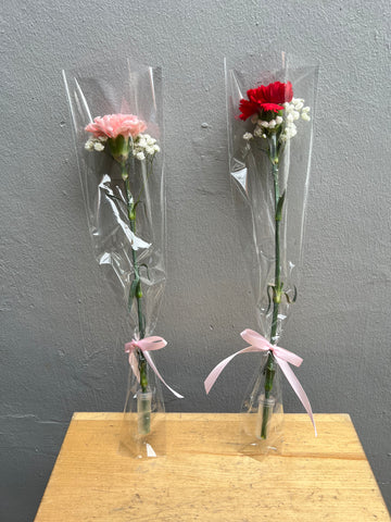 Single Stalk Carnation with baby's breath (with transparent wrap)