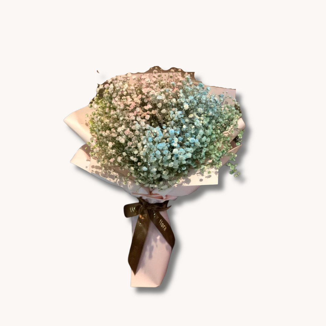 Baby's Breath – Miiv Flora